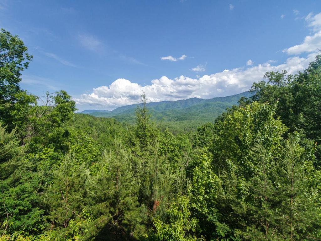 Vila Dreamscapes Gatlinburg Exteriér fotografie